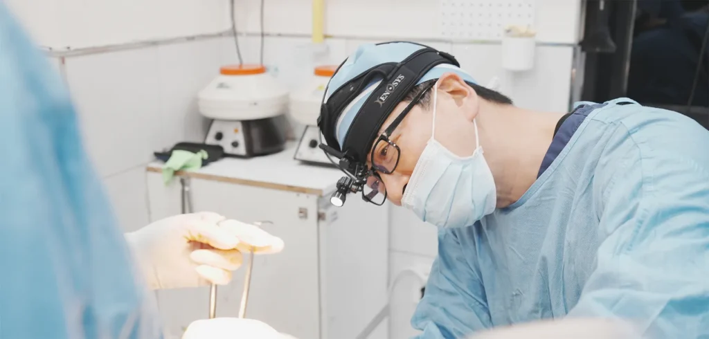 성형외과 외국어 홈페이지